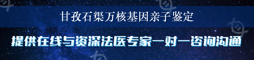 甘孜石渠万核基因亲子鉴定